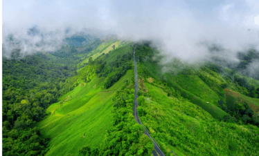 Mysore with Coorg and Kabini