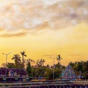 Untitled design (11)