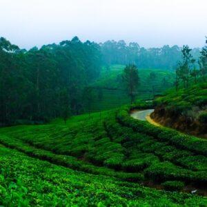 Untitled design (13)