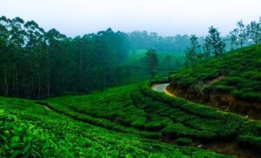 Divine South India Pilgrimage