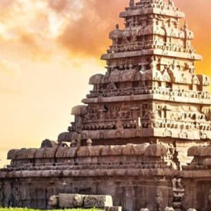 Untitled design (14)