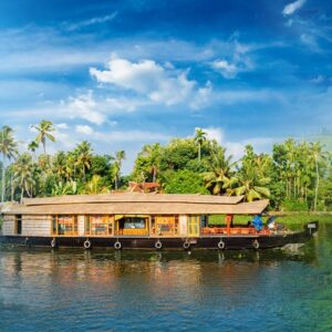 Untitled design (16)