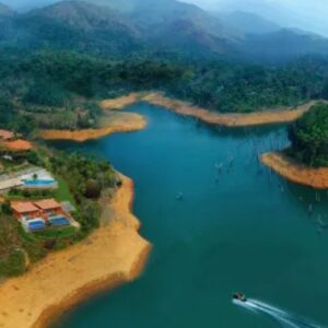 Untitled design (18)