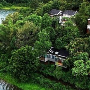 Untitled design (19)