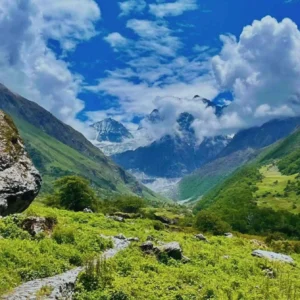 Valley_of_Flowers_Uttarakhand_India