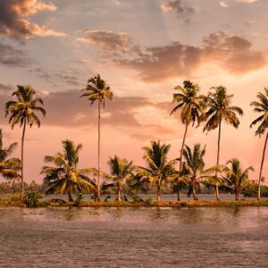 munnarholiday-alleppey-3941573_640