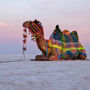 rann-of-kutch-kutch-gujarat-3-attr-hero