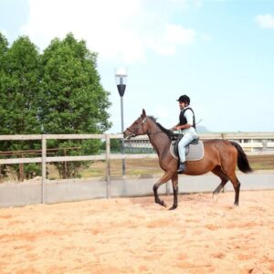 Fazlani Natures Nest – The Wellness Retreat 12