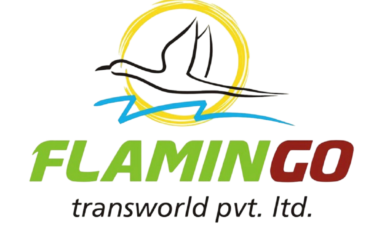 FlamingoTravels-Photoroom