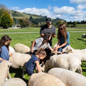 Travel To Agrodome With The Kangaroo Travels