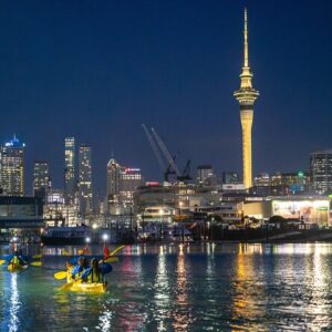 Travel To Auckland City With The Kangaroo Travels