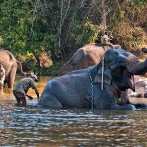 Jewels Of South India