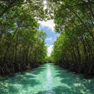 Best Of Andaman With Baratang