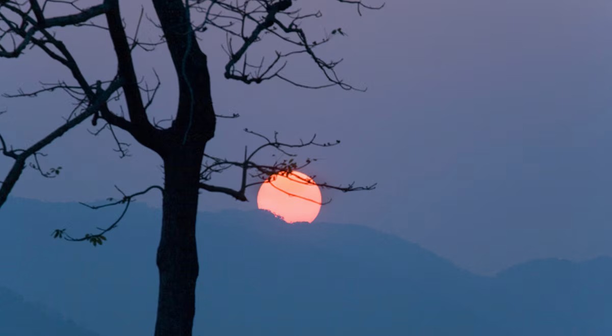 Beautiful North East - Shillong and Kaziranga Special - I Fly – Assam