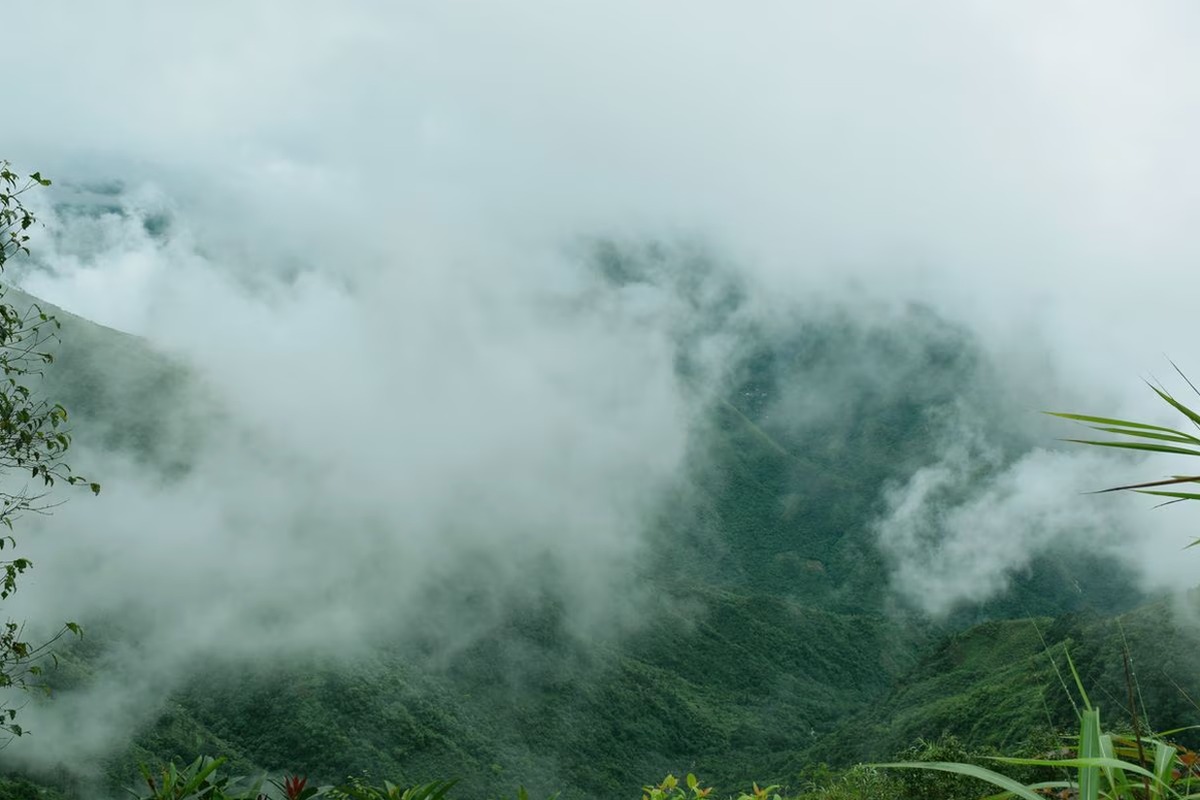 North East with Shillong and Kaziranga - Wildlife Safari - I Fly – Assam