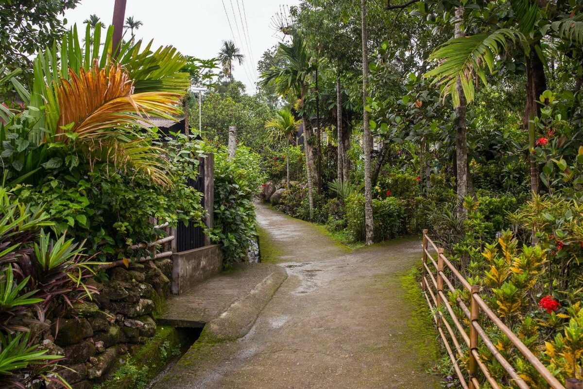 Guwahati, Kaziranga and Shillong in 7 Days - I Fly – Assam