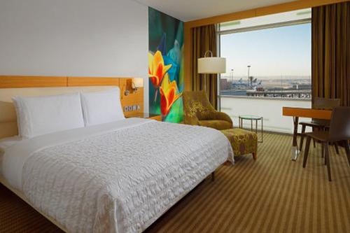 Egyptian Splendors - Premium - I Fly – Egypt
