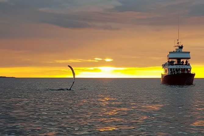 Iceland Midnight Sun Expedition – Iceland