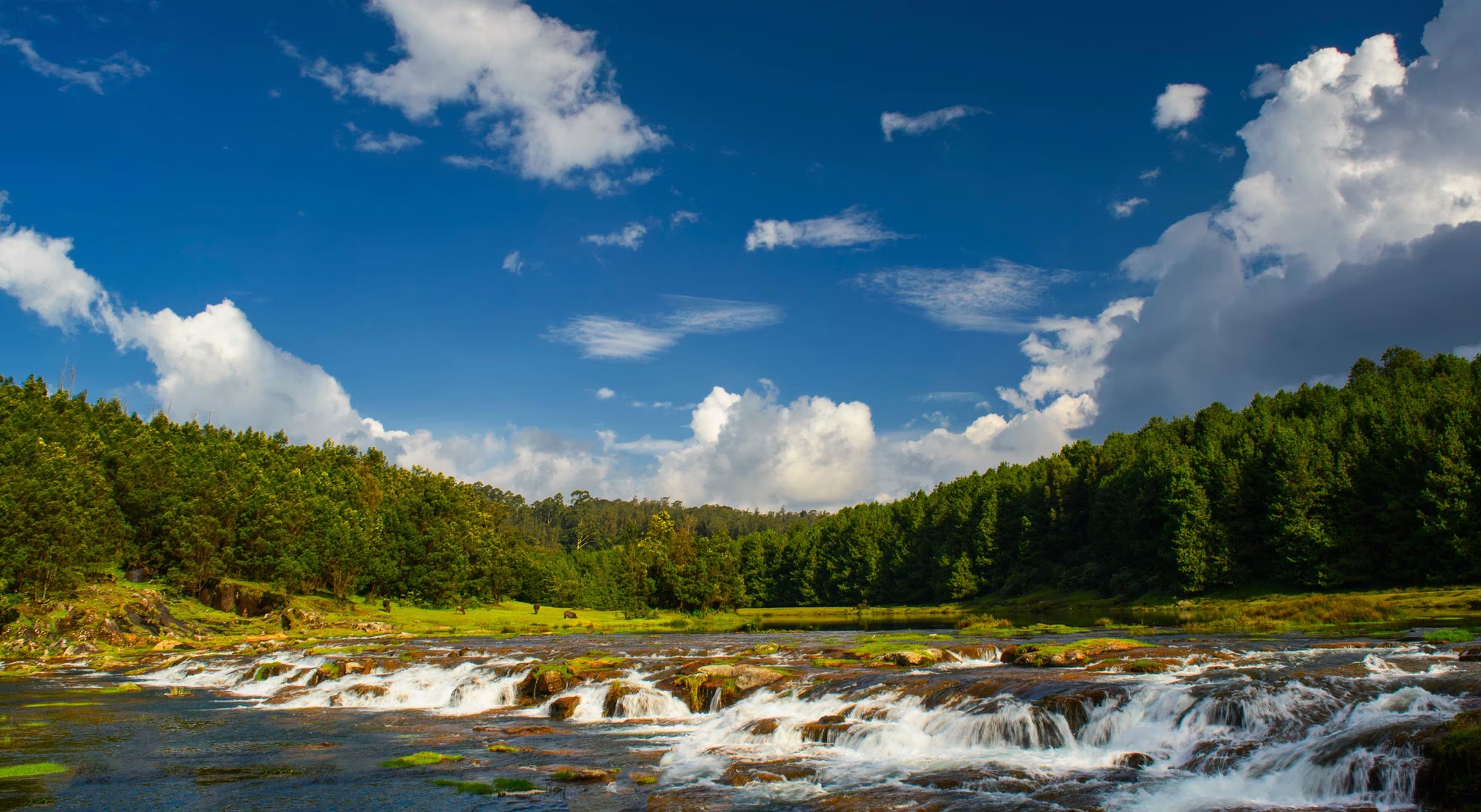 Amazing Ooty & Coorg Holiday – Karnataka