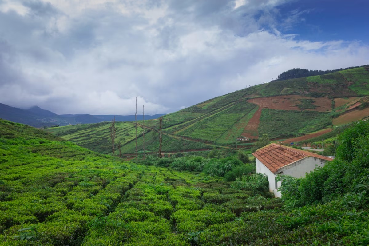 Incredible South India Vacay – Karnataka