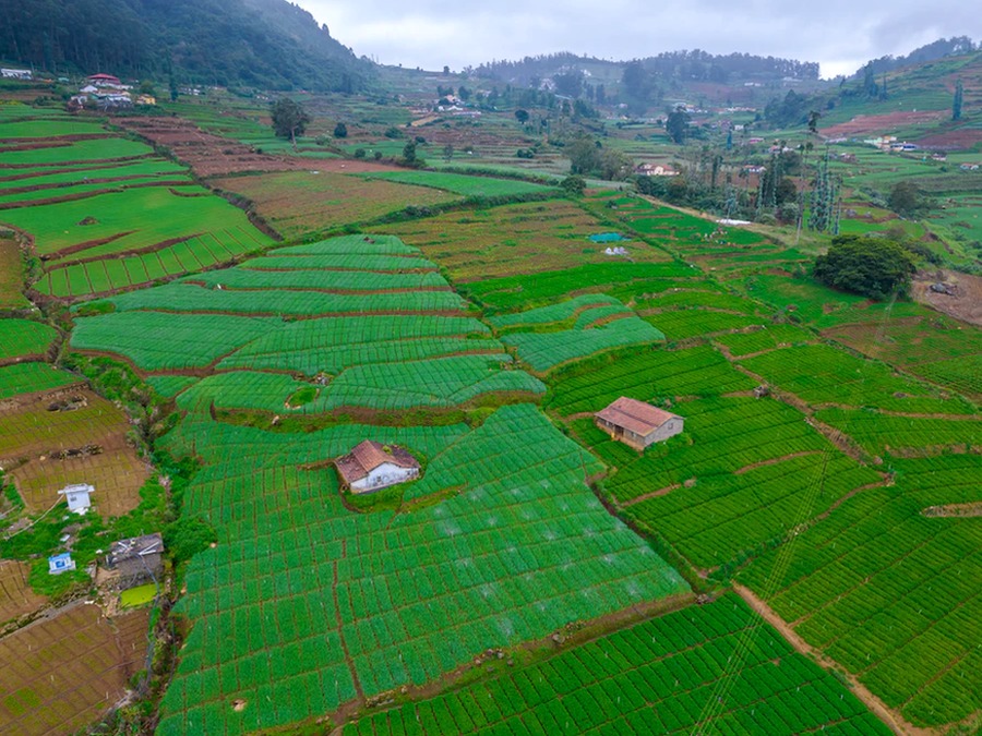 Fun Ooty & Coorg Adventure – Karnataka