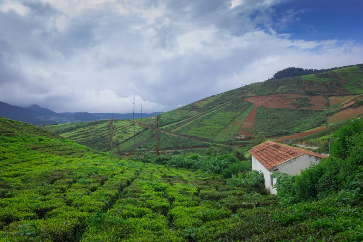 Coorg Premium Vacay – Karnataka