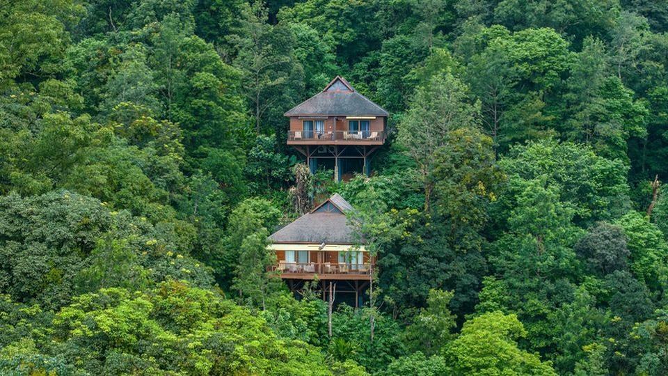 Coorg Premium Vacay – Karnataka