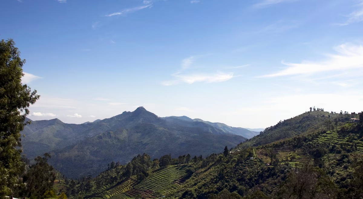 Fun Coorg & Ooty - Family Getaway – Karnataka