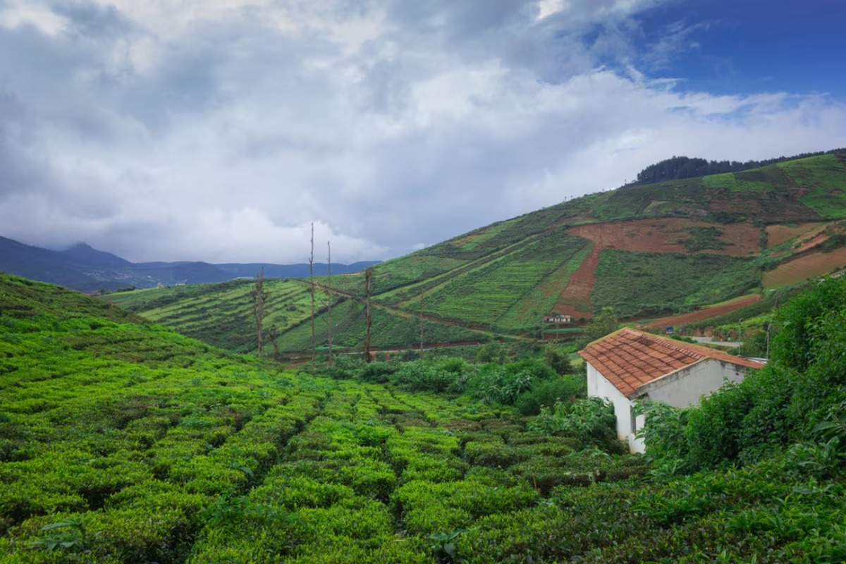 Awesome Coorg & Ooty Vacation – Karnataka