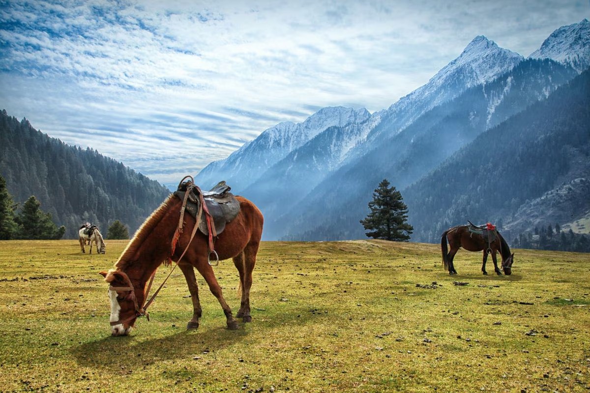 Amazing Kashmir Tour – Kashmir