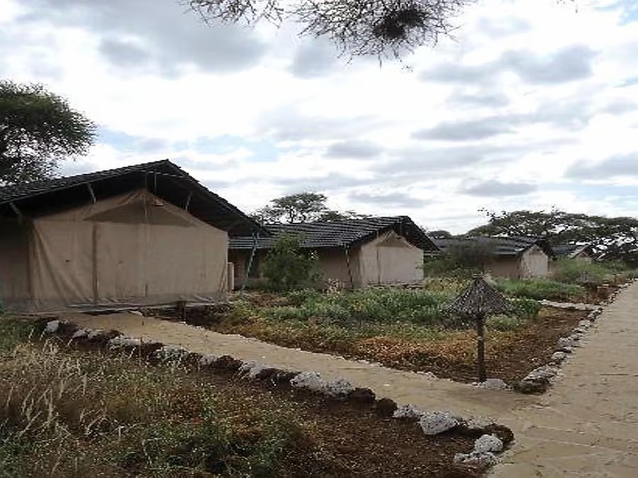Big Five Kenya Safari - Hero Package - I Fly – Kenya