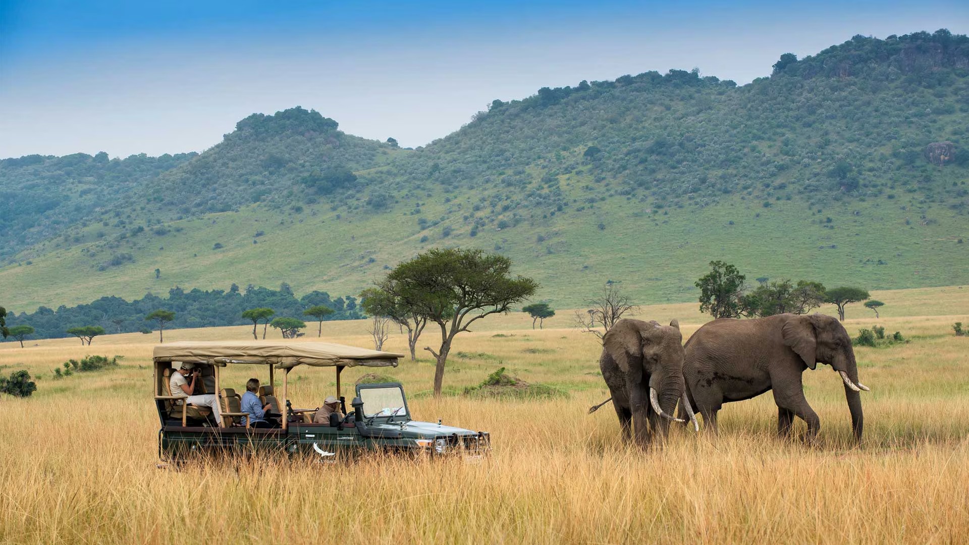 Best of Kenya Safari - I Fly – Kenya
