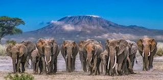 Amboseli Adventure - I Fly – Kenya