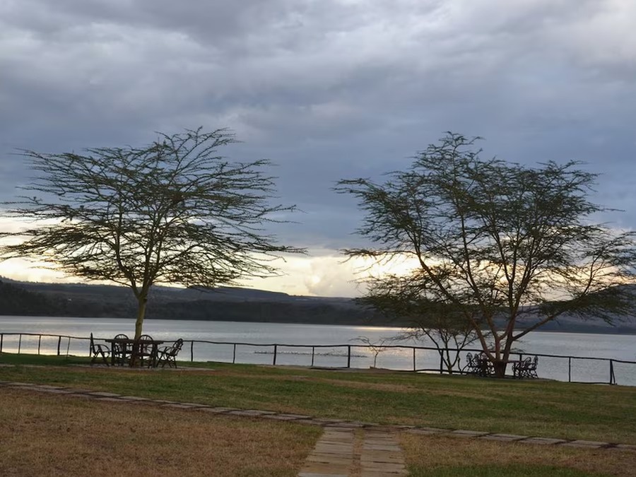 The Great Migration (Guided Tour) - I Fly – Kenya