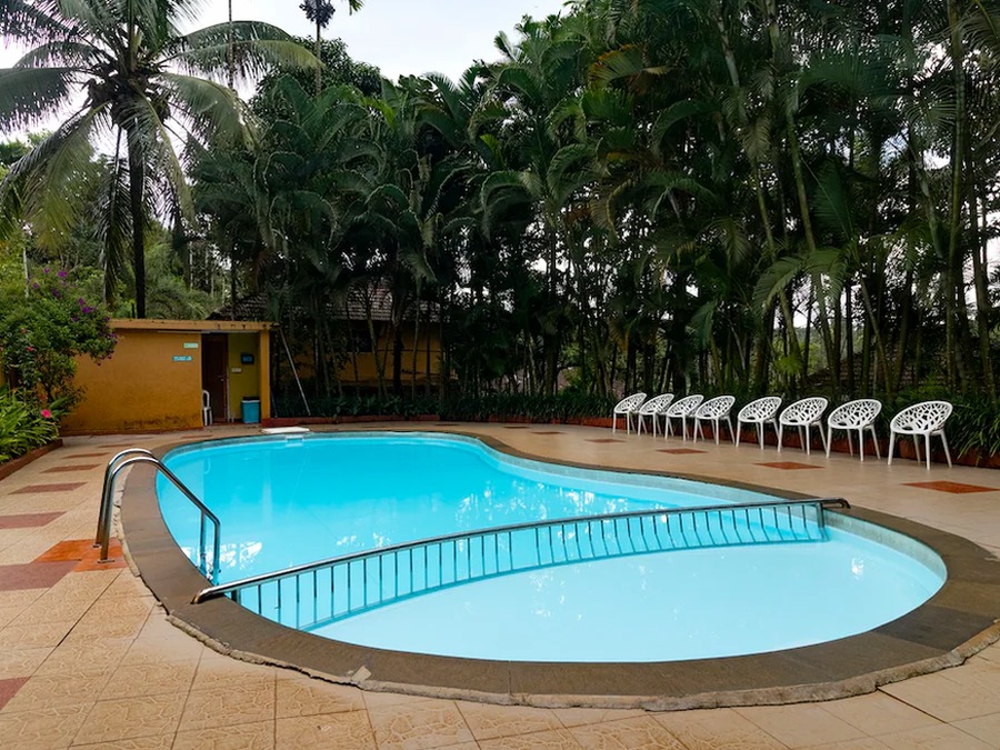 Revive with Nature in Wayanad & Kabini – Kerala