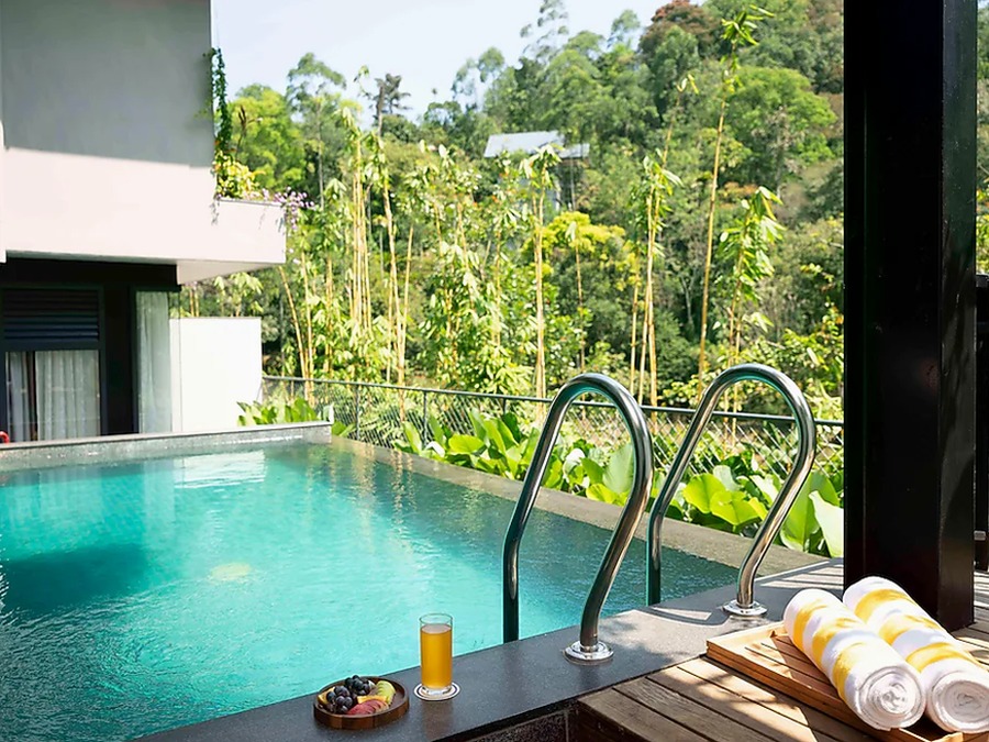 Munnar, Thekkady, Alleppey & Kovalam | 6N Kerala Holiday – Kerala
