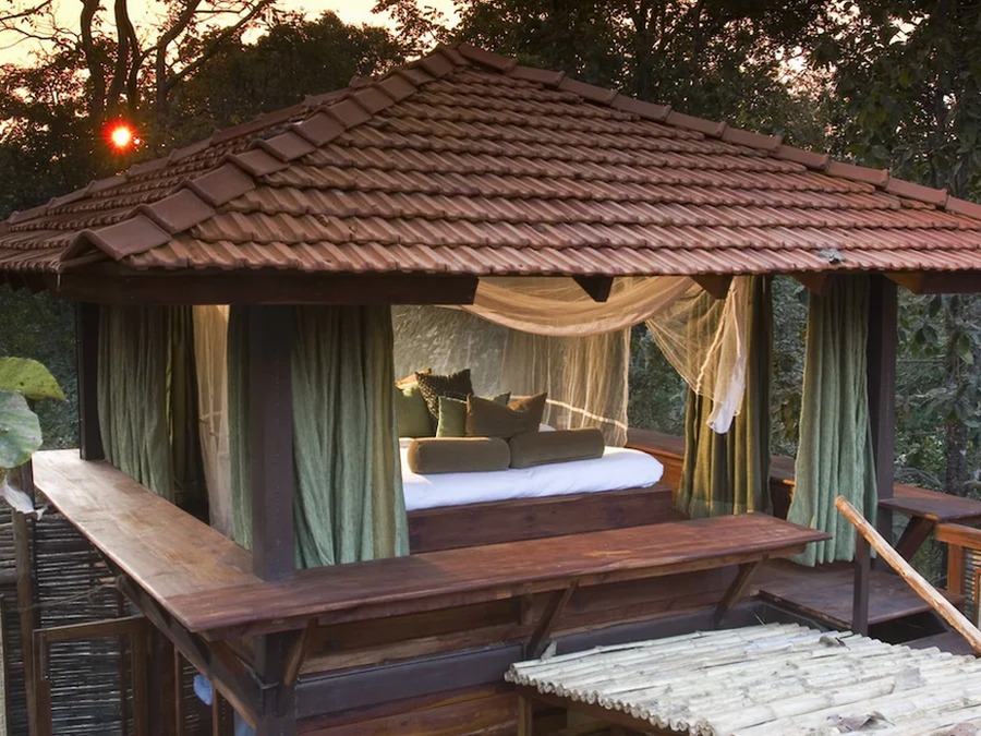 Pench National Park 5-Star Safari Lodge | 2-Night Wildlife Escape – Madhya Pradesh