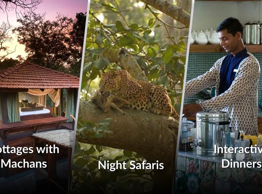 Pench National Park 5-Star Safari Lodge | 2-Night Wildlife Escape – Madhya Pradesh