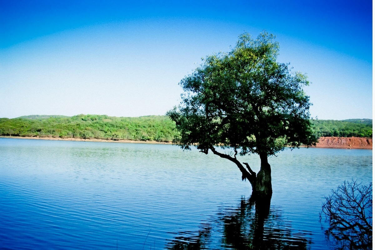 4N Maharashtra Tour Package | Lonavala & Mahabaleshwar – I Fly