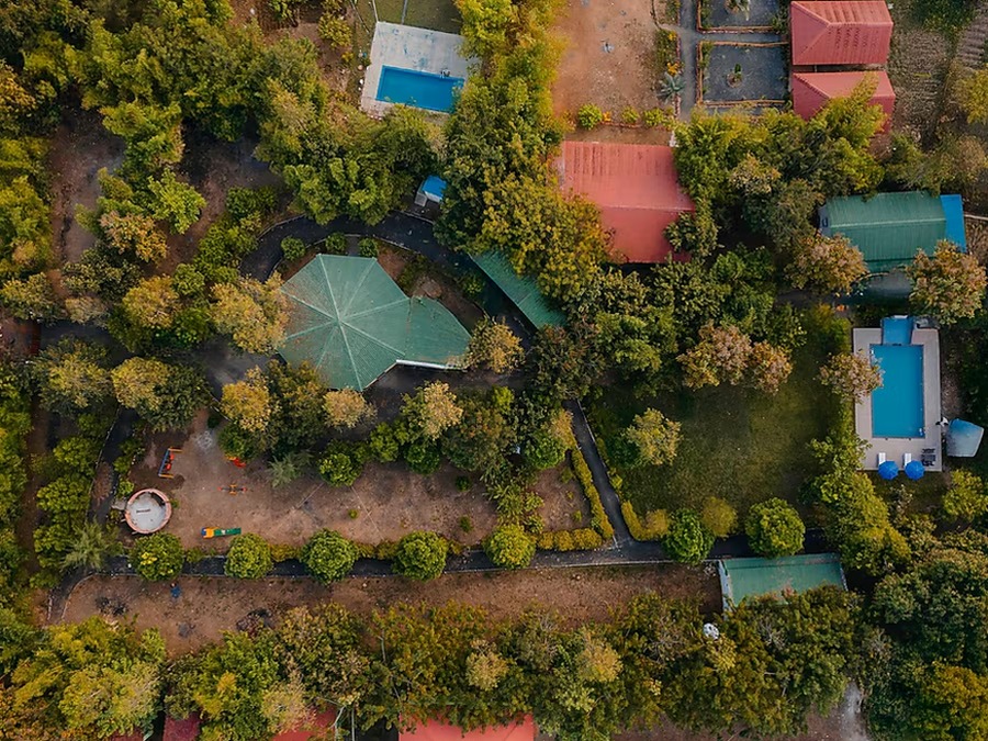 Tadoba Safari Escape – Maharashtra
