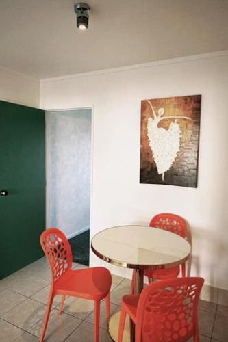 Auckland City Escape - I Fly – New Zealand