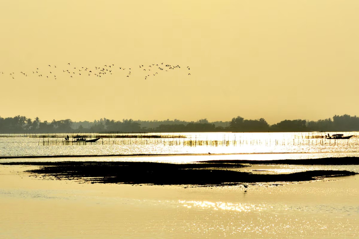 Odisha Luxury Holiday - I Fly – Orissa