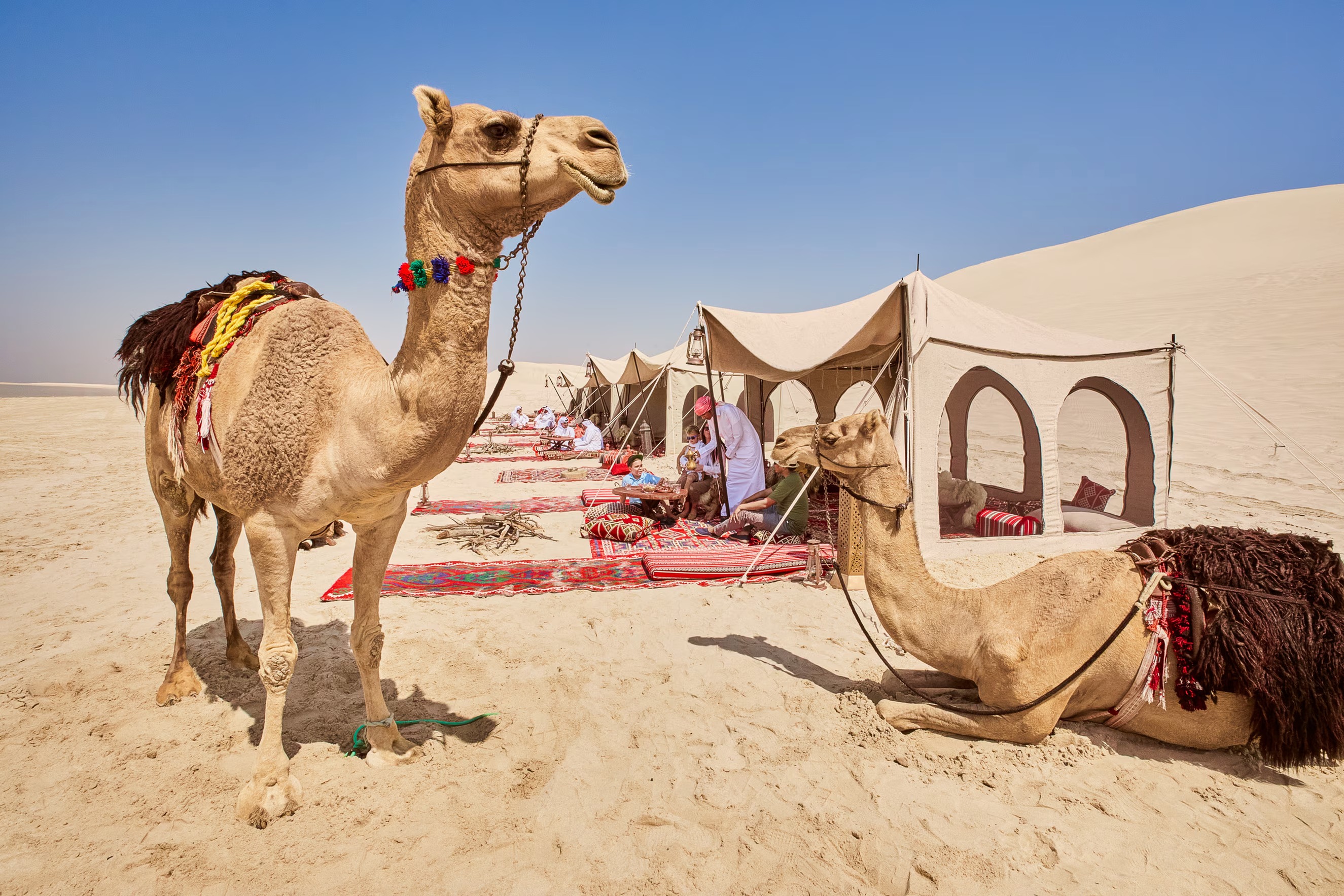 Doha Desert Dune Experience – Qatar