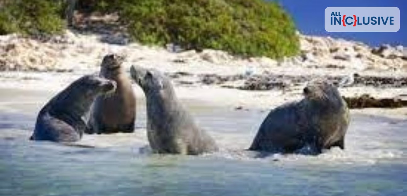 Whole of South Africa 3 - Chef Assisted Tour - I Fly – South Africa
