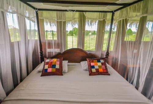 Dambula, Kandy & Colombo Discovery - I Fly – Sri Lanka