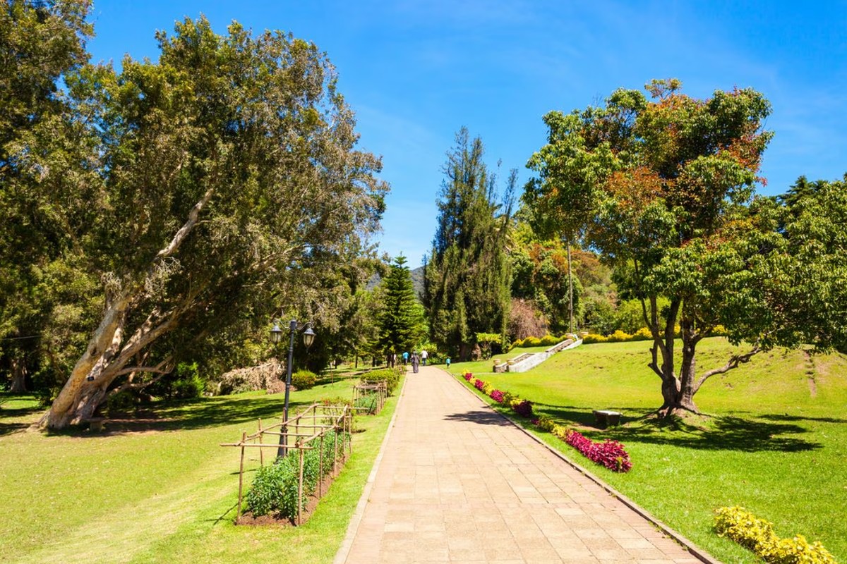 Signature Sri Lanka Journey - I Fly – Sri Lanka
