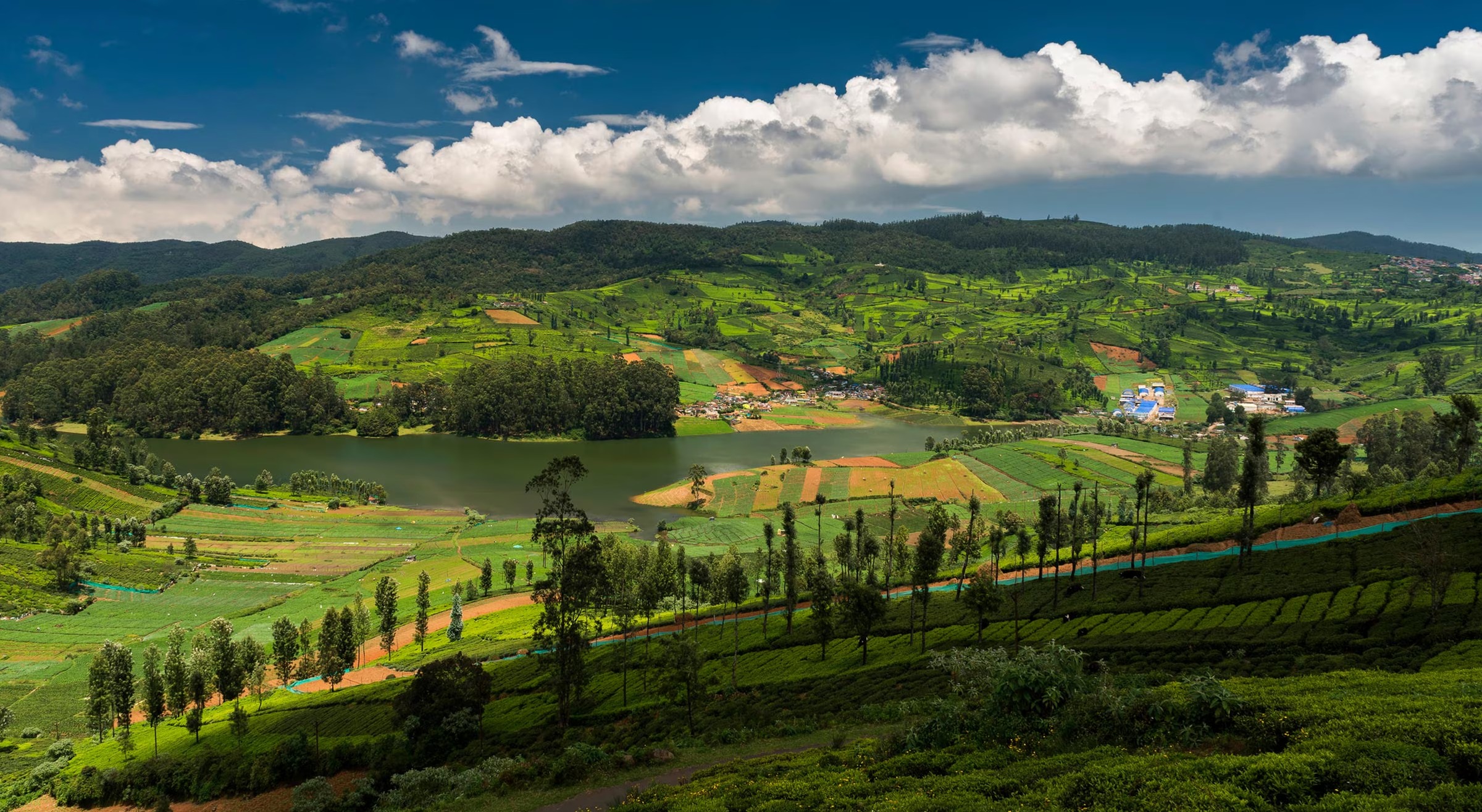 Ooty Getaway from Bangalore – Tamil Nadu
